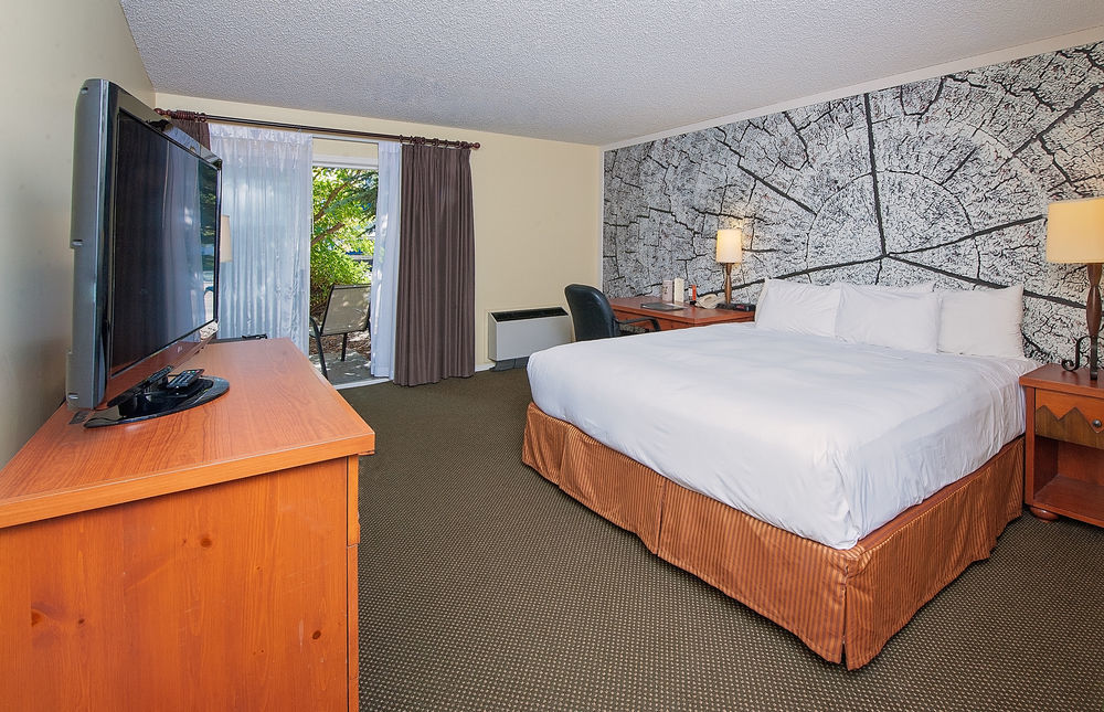 Coast & Conference Centre 3*
